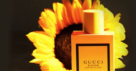 gucci yellow bottle|where to buy Gucci bloom.